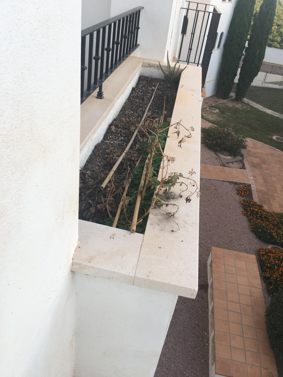 50018_WhatsApp Image 2024-11-28 at 17.23.22 (2).jpeg